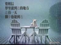 郑州晟禾生物科技有限公司