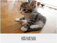 郑州晟禾生物科技有限公司