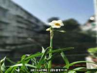郑州晟禾生物科技有限公司