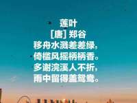 郑州晟禾生物科技有限公司