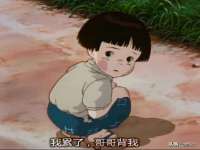 郑州晟禾生物科技有限公司