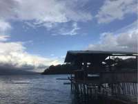 郑州晟禾生物科技有限公司