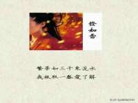 郑州晟禾生物科技有限公司