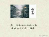 郑州晟禾生物科技有限公司
