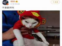 郑州晟禾生物科技有限公司