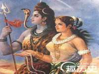 郑州晟禾生物科技有限公司