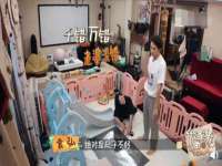 郑州晟禾生物科技有限公司
